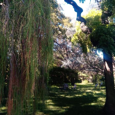 Cabana En Quinta La Aurora Mina Clavero Eksteriør bilde