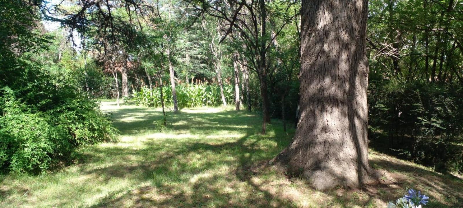 Cabana En Quinta La Aurora Mina Clavero Eksteriør bilde